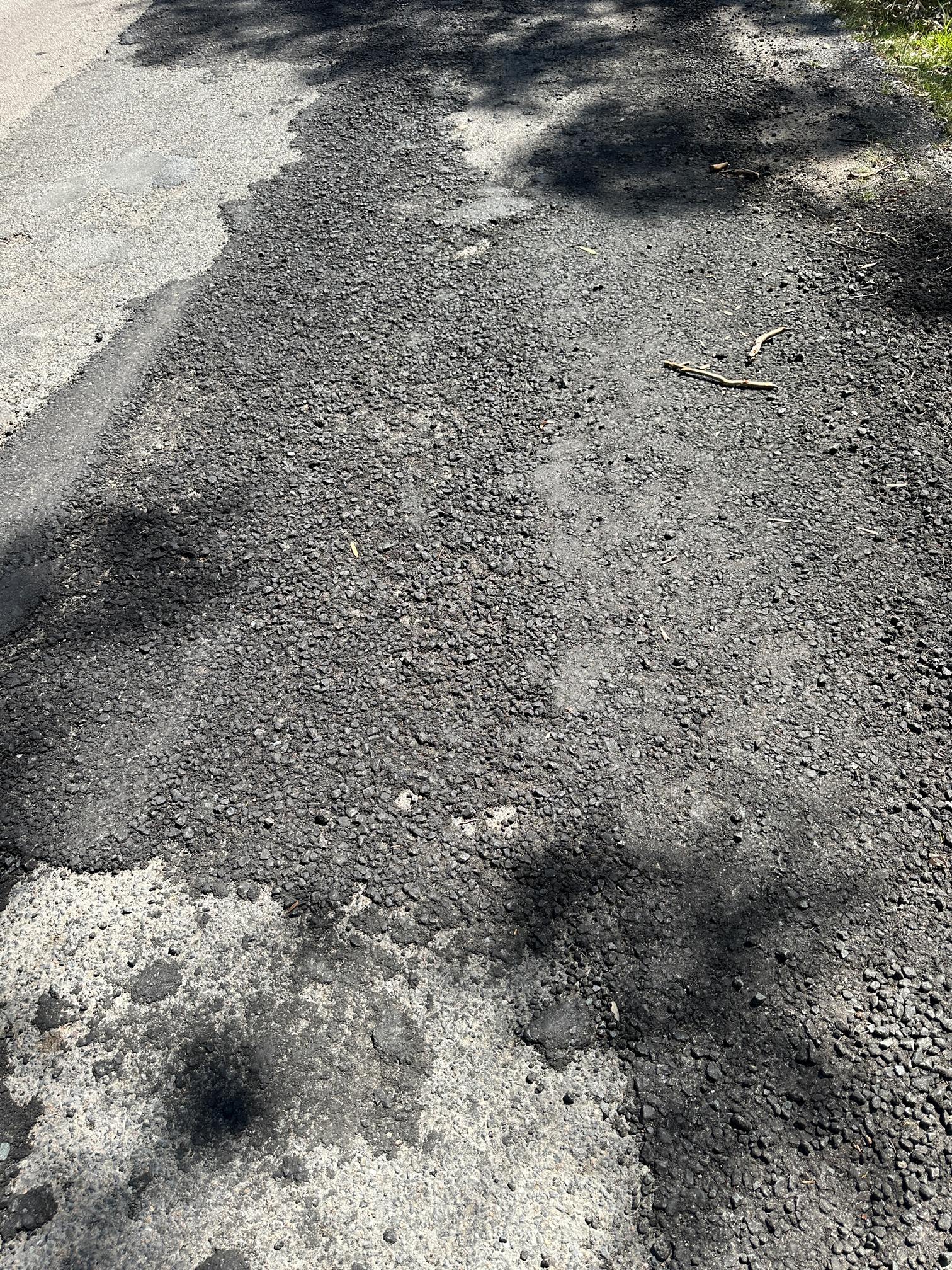 Media Release - Labor Will Deliver Relief on Regional Road Repairs Main Image