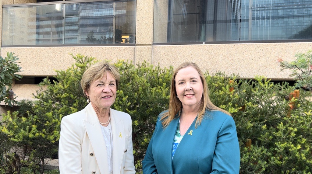 Media Release - Cobb Highway repairs to begin this month Main Image